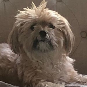 Meet your Posher, Sara